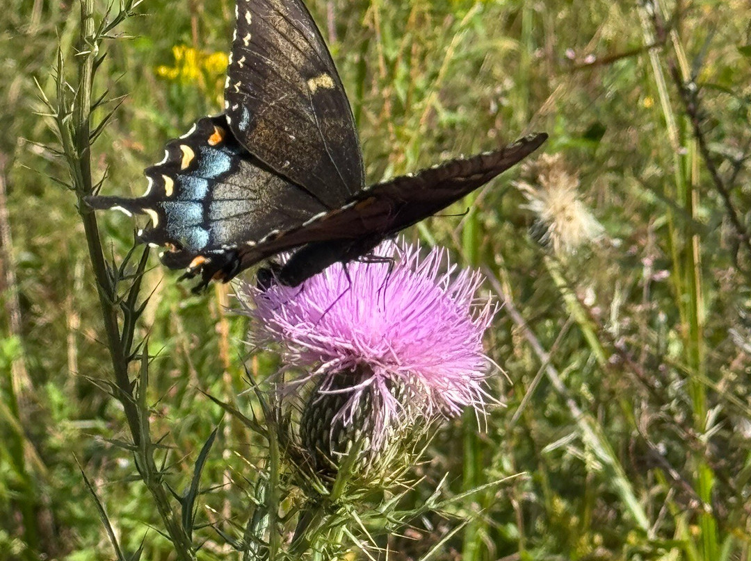 Old Stone Fort State Archaeological Park-Manchester必去景点