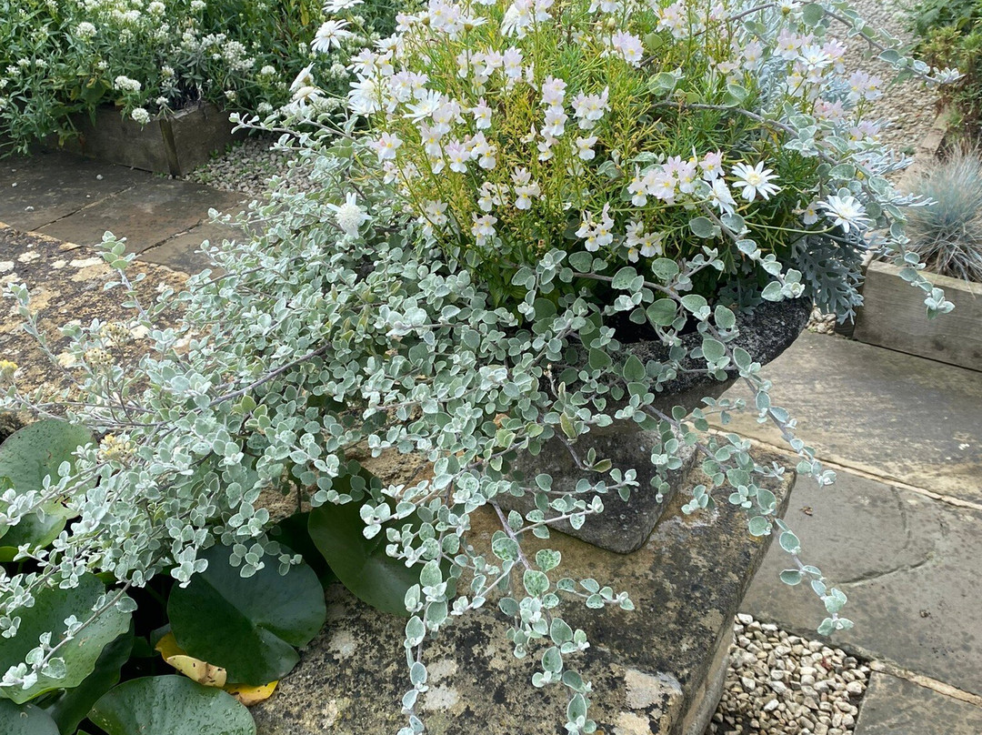 Bourton House Garden-Bourton-on-the-Hill必去景点
