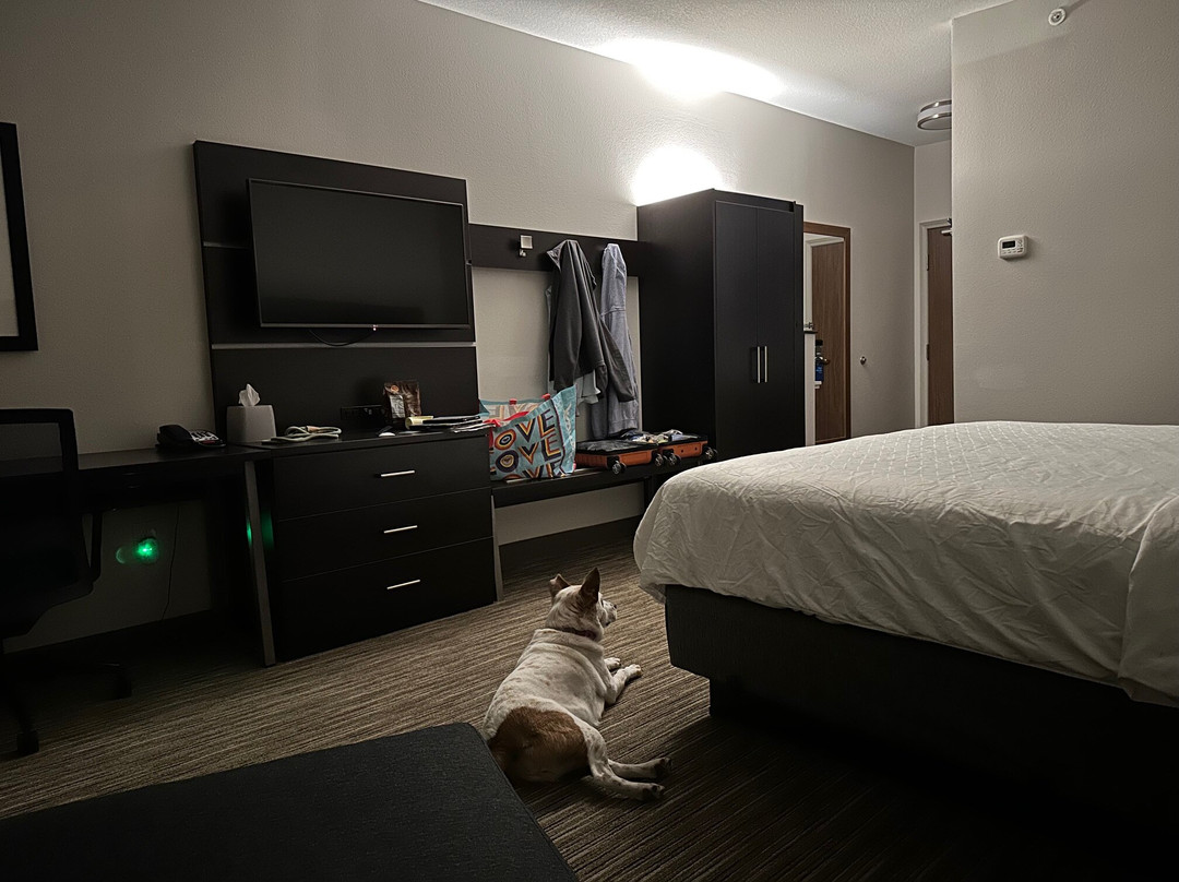 Holiday Inn Express & Suites Red Wing By IHG主图
