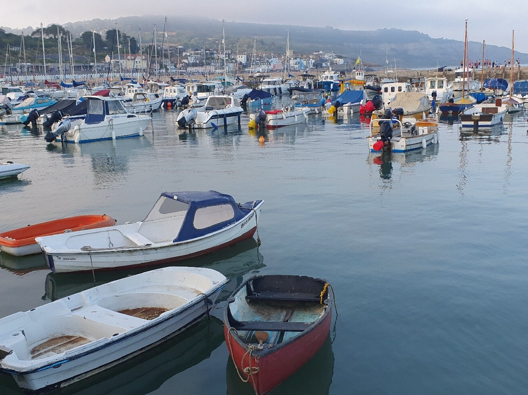 Lyme Regis Beach-莱姆里杰斯必去景点