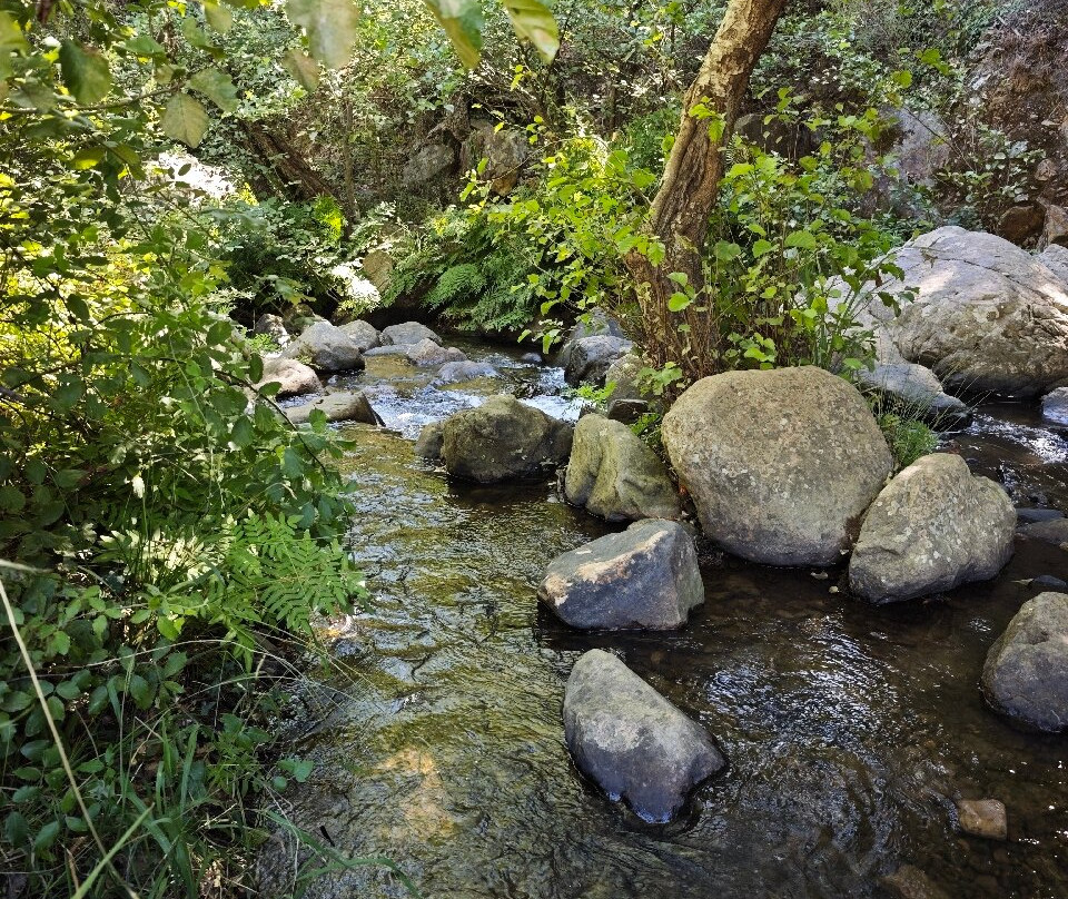 Sendero Rio de la Miel-阿尔赫西拉斯必去景点