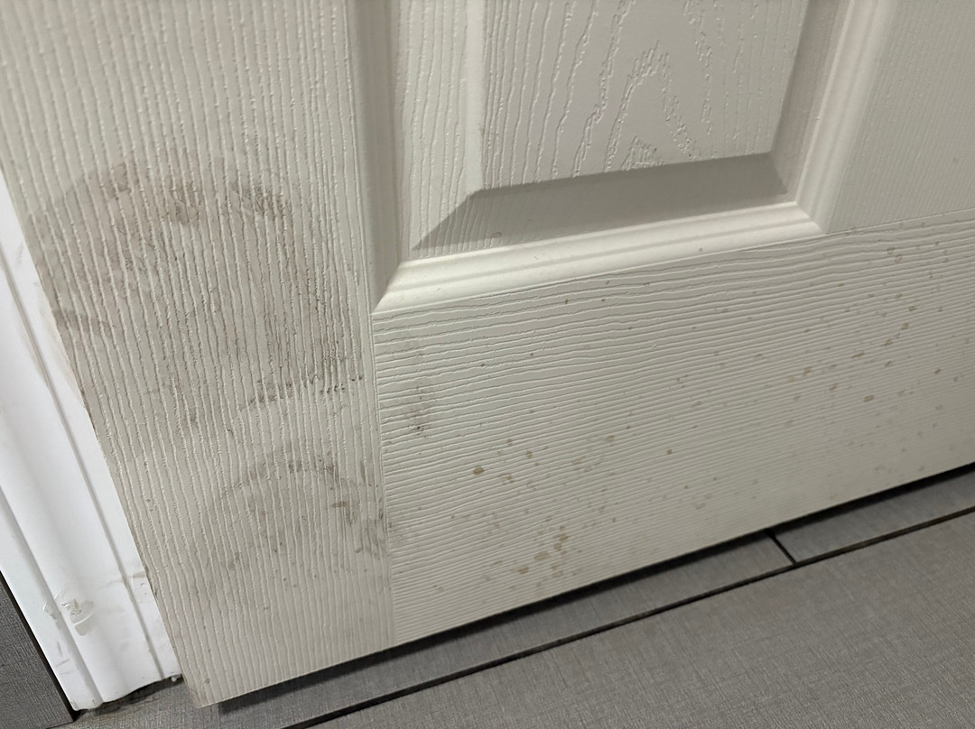 AmericInn by Wyndham Green Bay Near Stadium主图