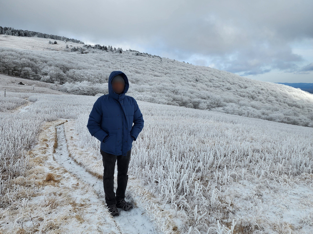 Whitetop Mountain-Mouth of Wilson必去景点