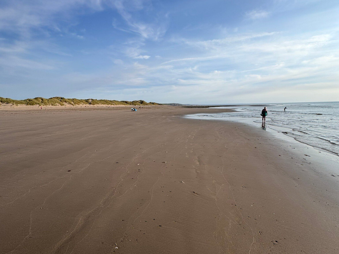 Ynyslas National Nature Reserve-Borth必去景点