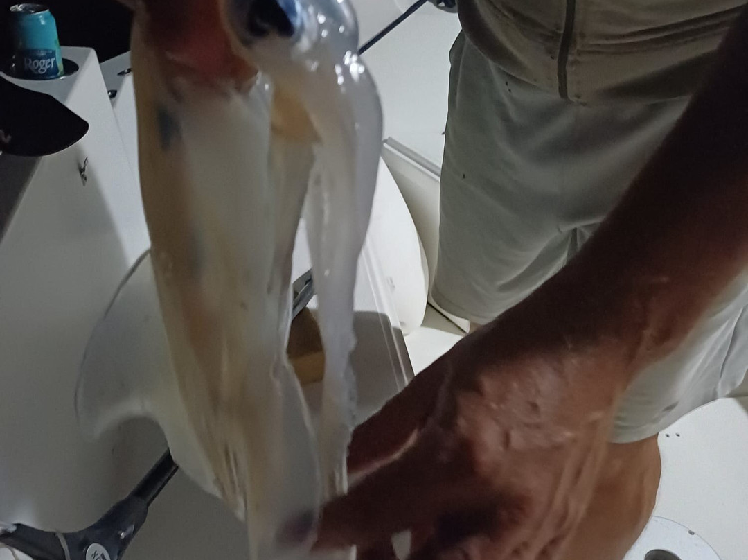 VALFINITY Sea adventures-皮罗瓦必去景点