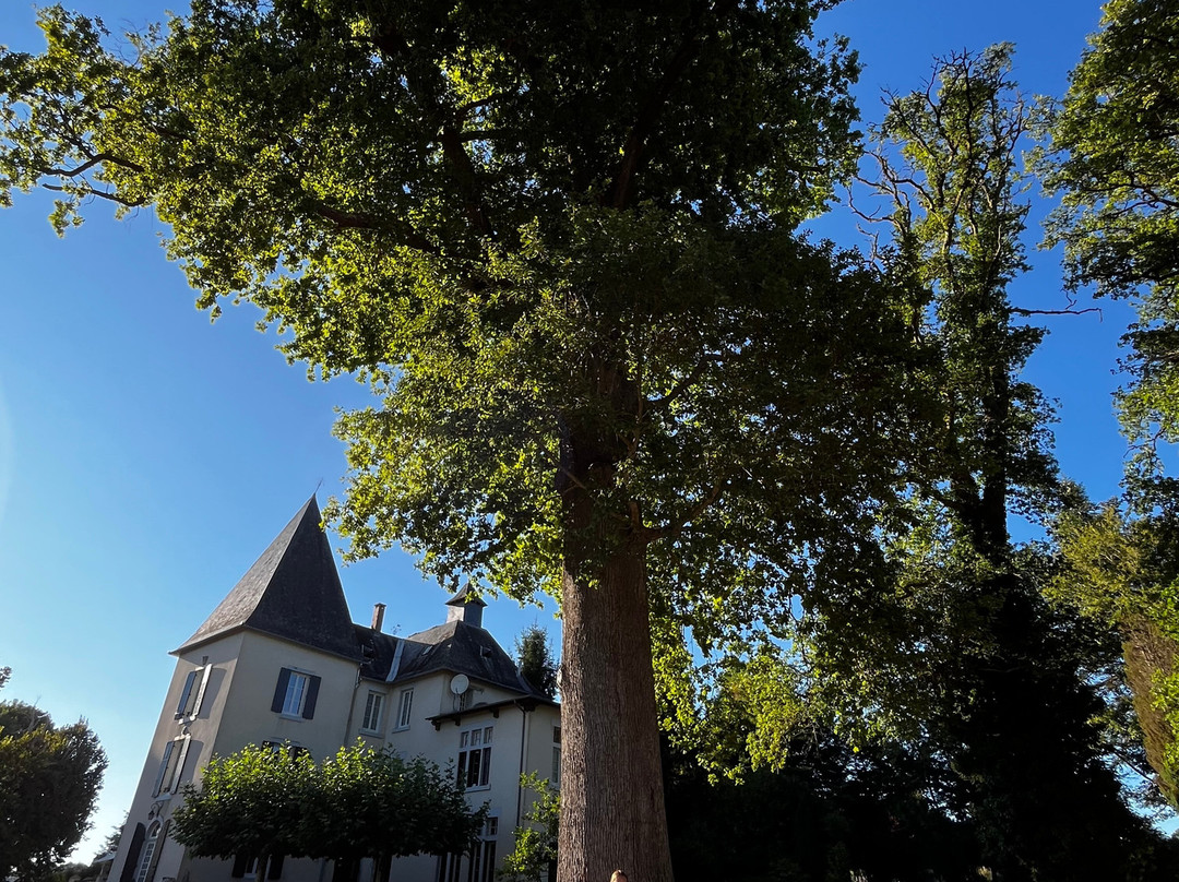 Chateau de la Fragne主图