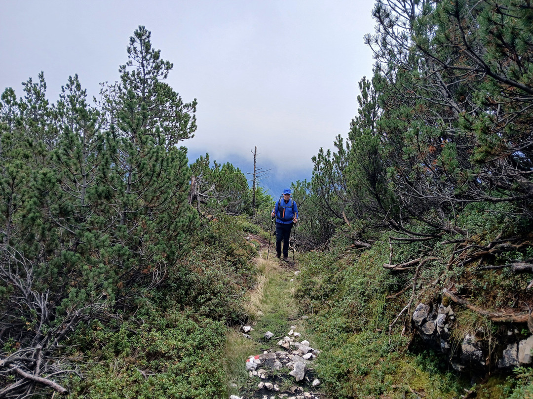 Bergwanderführer Tirol-洛伊塔戌必去景点