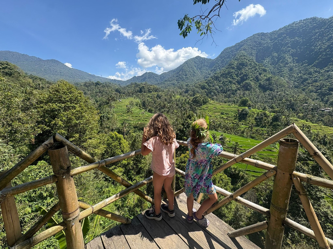 Lovina Transport Bali 007-罗威那海滩必去景点