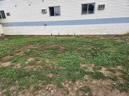 Skimmerhorn Inn主图