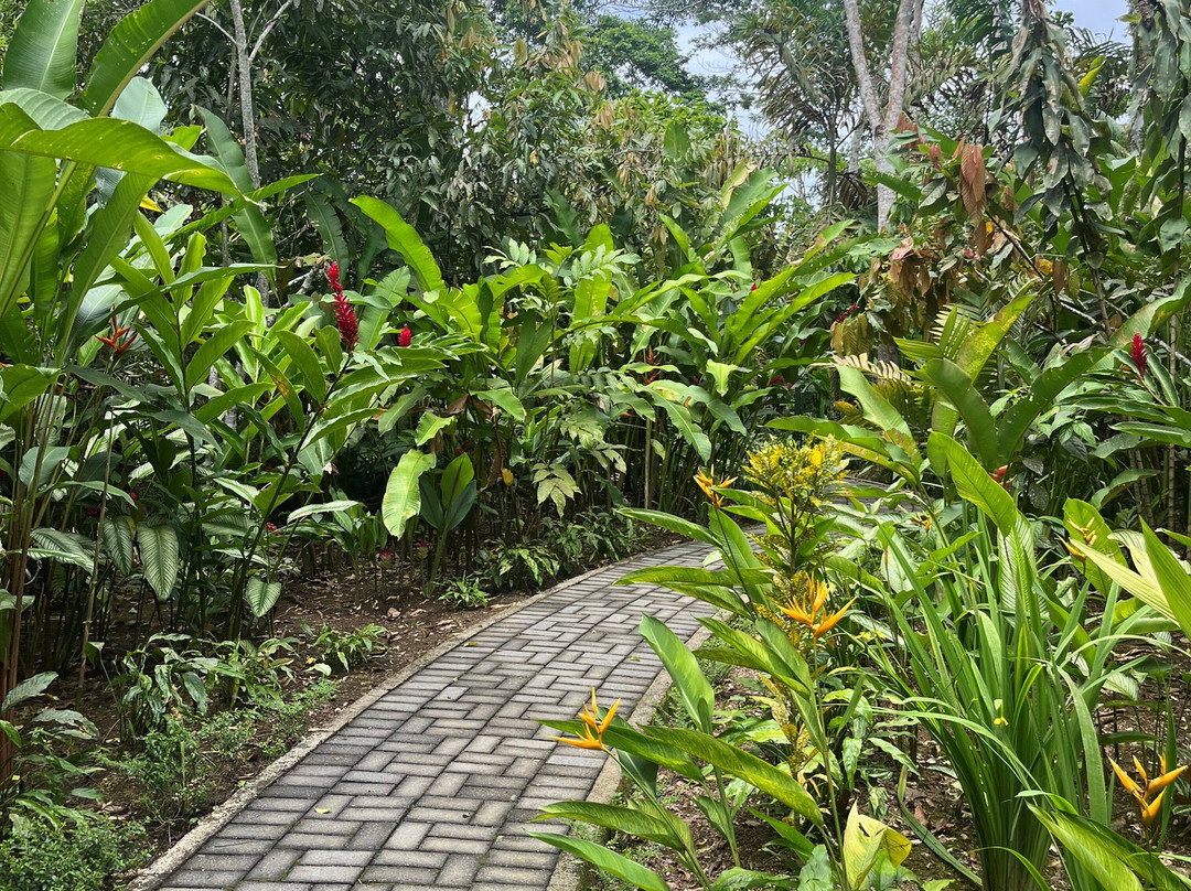 EL Jardín Lodge & Spa主图