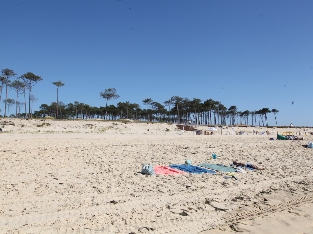 Plage de la Lagune-拉泰斯特德比克必去景点
