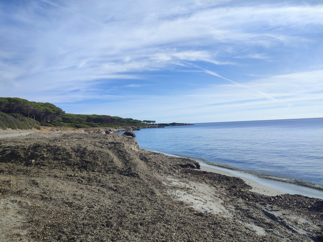 Club Hotel Marina Seada主图