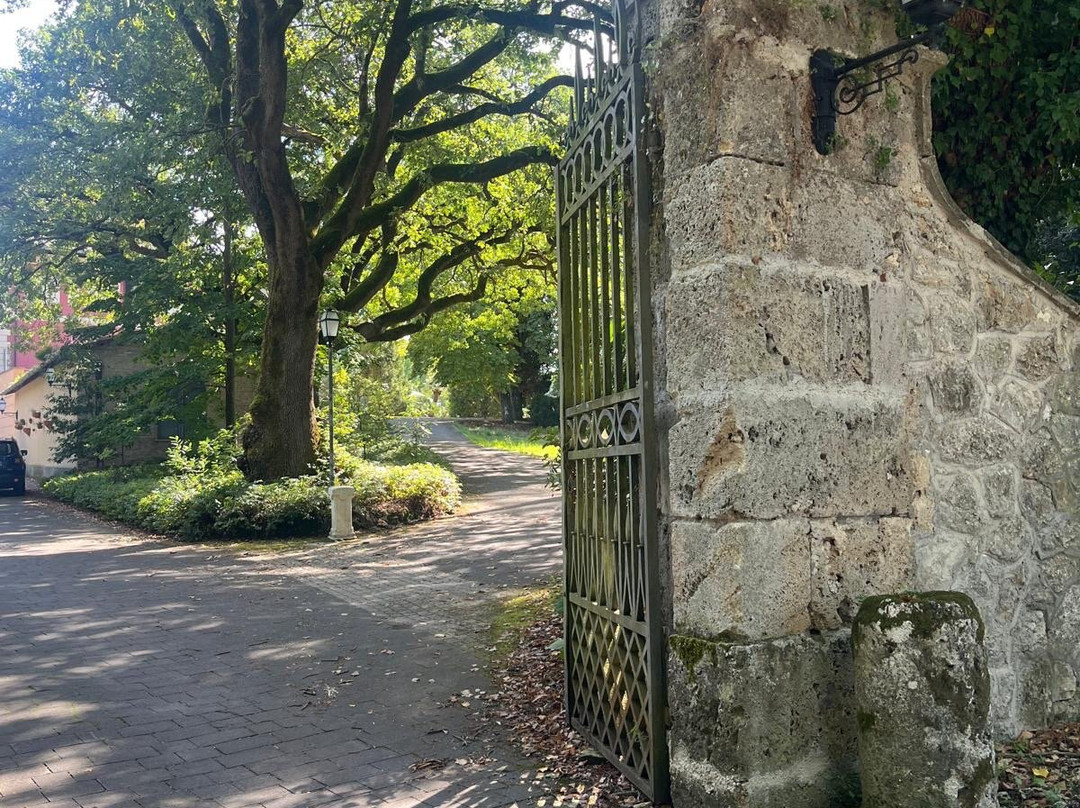 Park Hotel Villa Potenziani主图