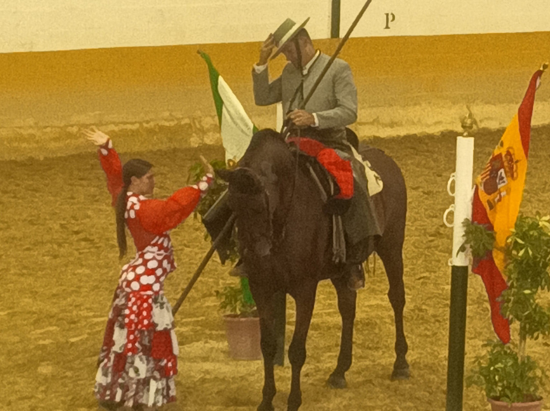 Centro de Equitacion El Ranchito-托雷莫里诺斯必去景点