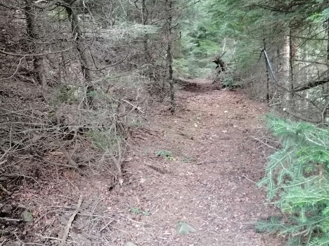 Monopáti Agías Paraskevís-null必去景点