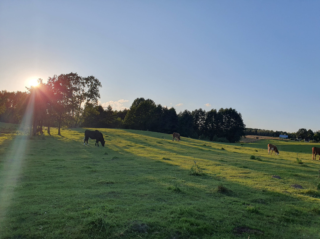 Leszkiland Pension主图