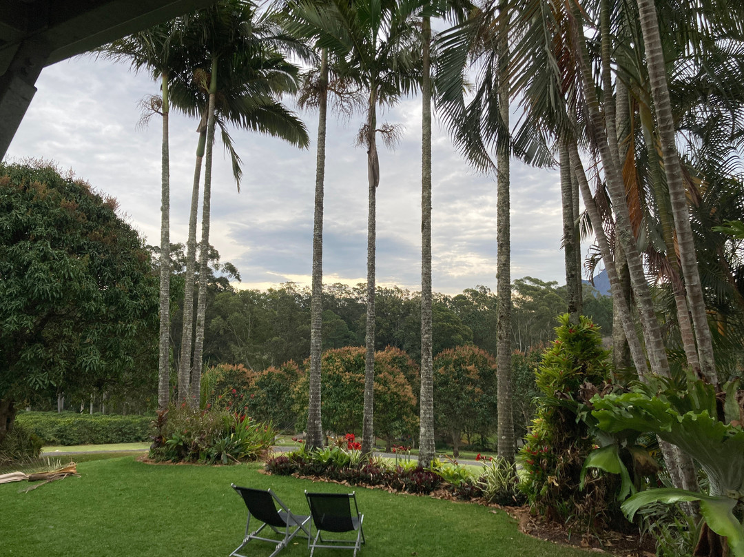 Glasshouse Plantation