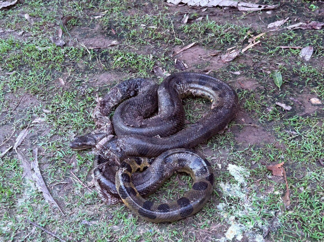Jairo Mejia Prado-伊基托斯必去景点