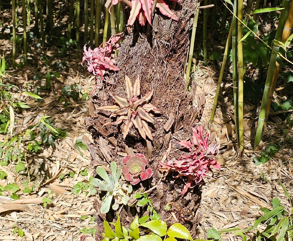Le Tropique du Papillon-Elne必去景点