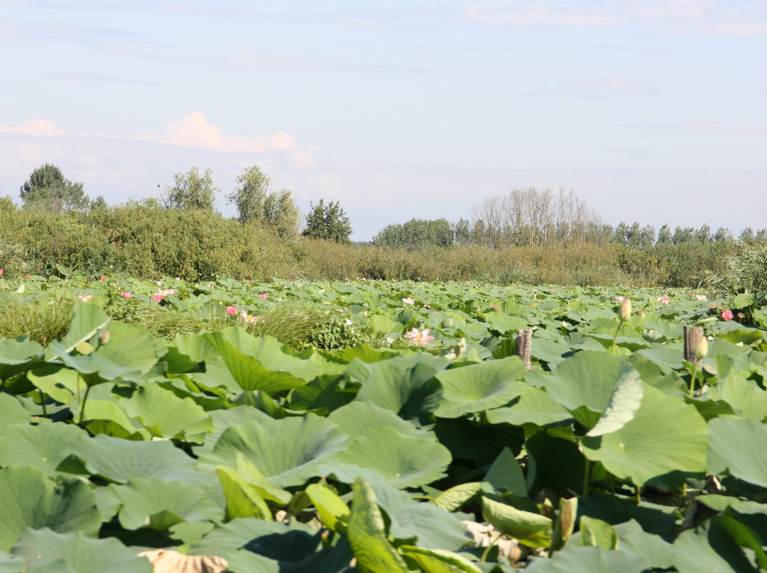 Navigazione Mincio-Rivalta sul Mincio必去景点
