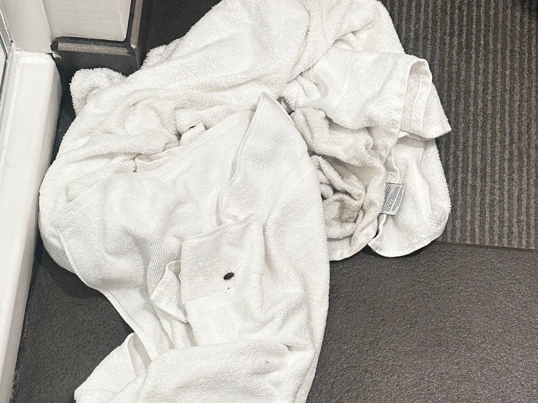 Tru by Hilton Radford主图