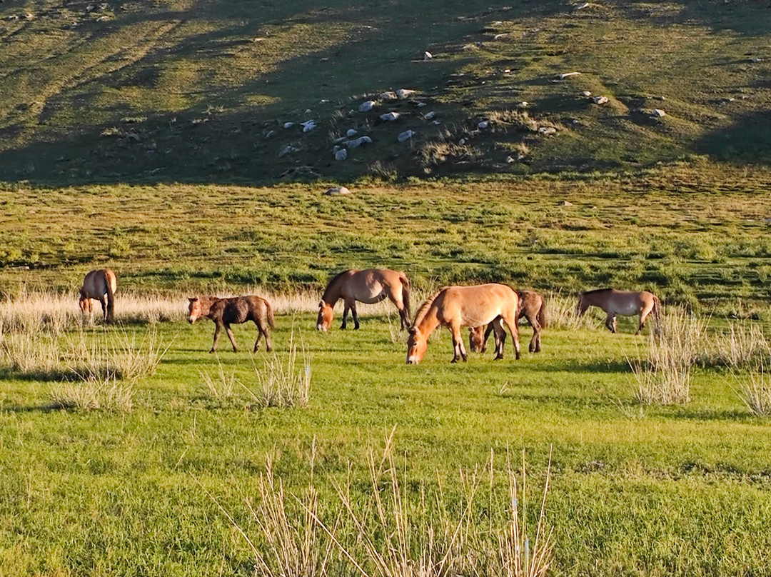 内蒙古私人一日游-乌兰巴托必去景点