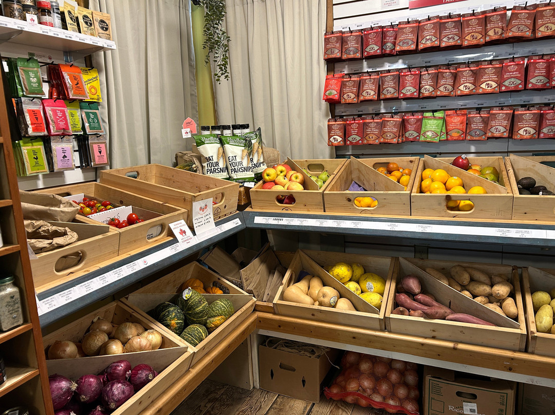 Pender Island Kayak Adventures-Pender Island必去景点