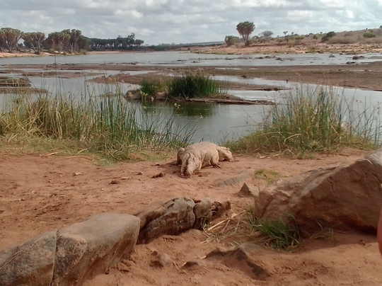 Info Kenya Tours-瓦塔木必去景点