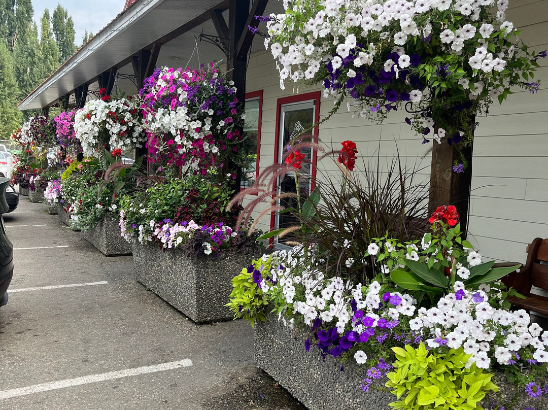 Almo Court Motel主图