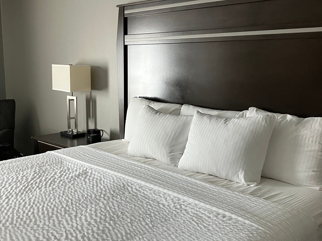 La Quinta Inn & Suites by Wyndham Sioux Falls主图