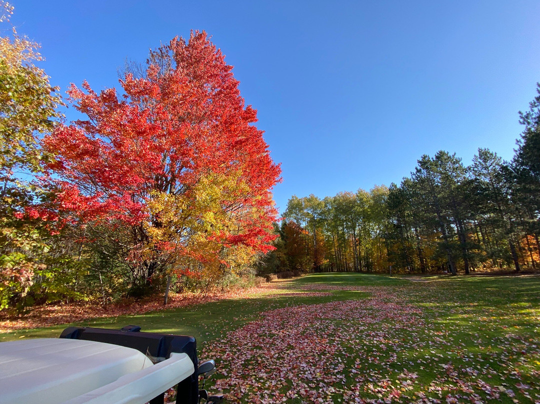 Twin Birch Golf Course-Kalkaska必去景点