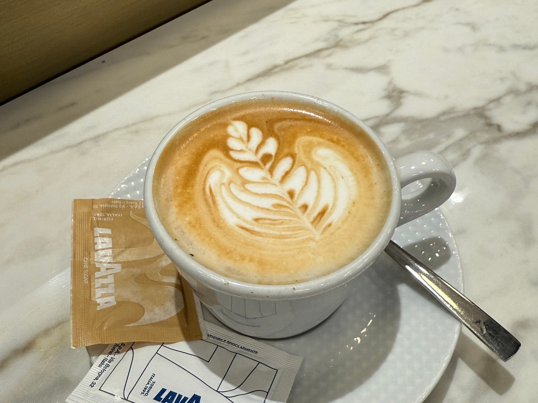 Plaza Premium Lounge (Schengen Area Departures Terminal 1)-菲乌米奇诺必去景点