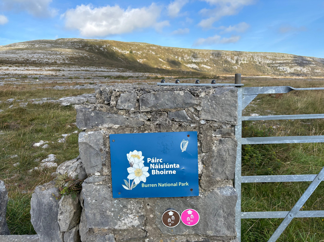 Burren Guided Walks & Hikes-Walking Day Tours-Fanore必去景点