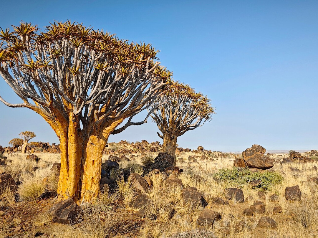 Garas Park Camp-Keetmanshoop必去景点
