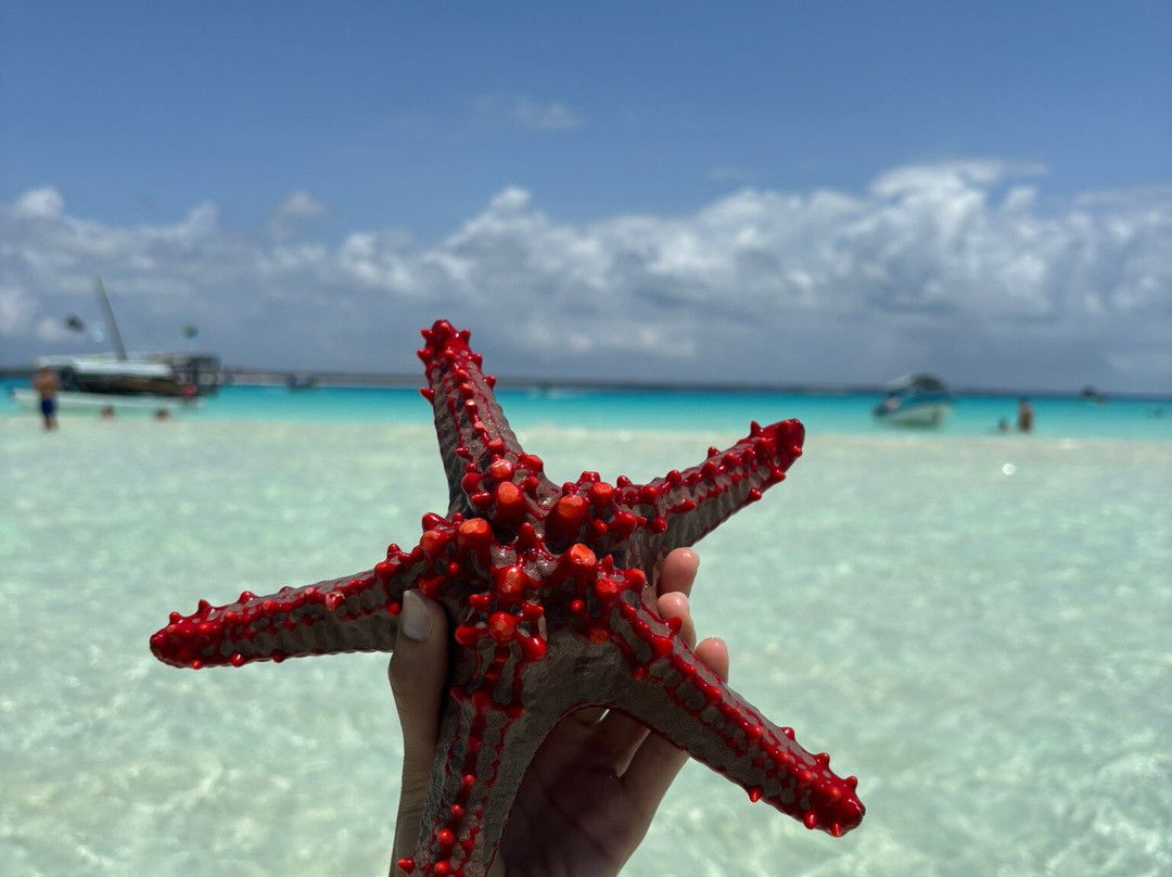 Brahim Tours Vocation Zanzibar-Kizimkazi必去景点