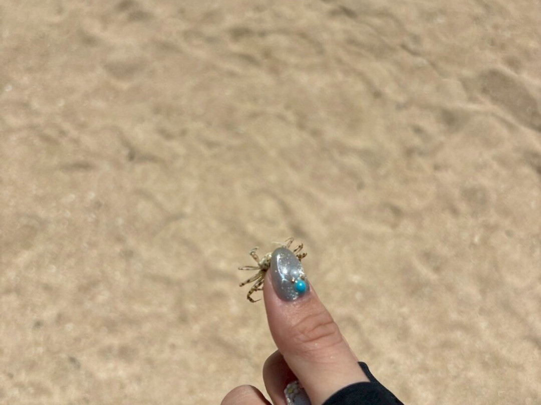 Maesato Beach-石垣市必去景点