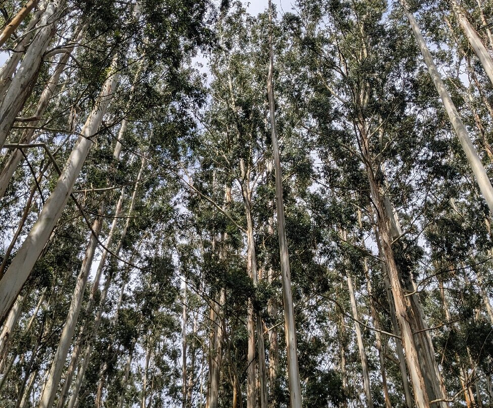 Kundala Dam Lake-慕那尔必去景点