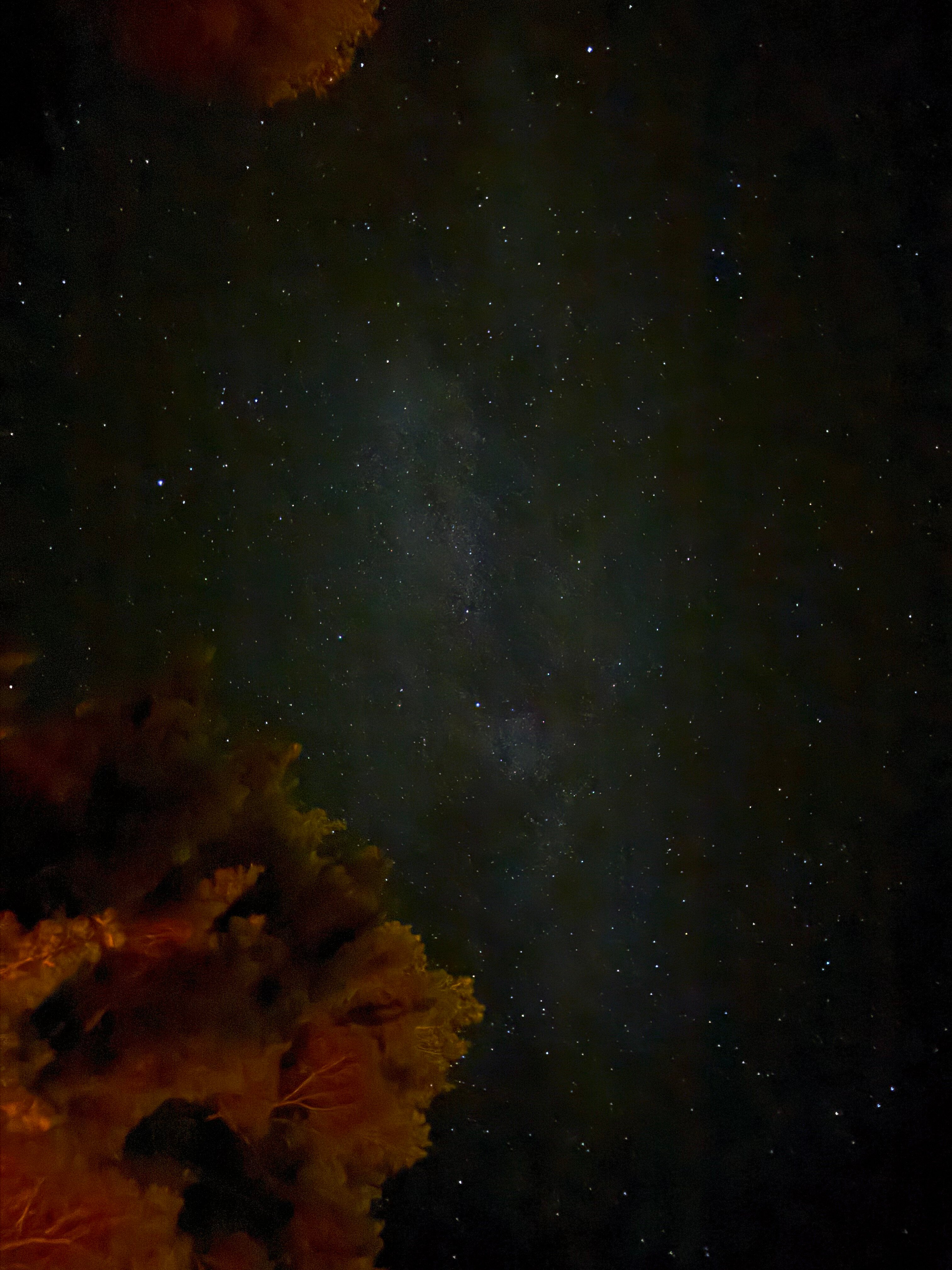 Northridge Inn & Resort-浴室