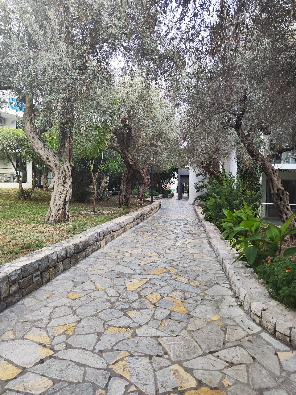 Hotel Vile Oliva-官方