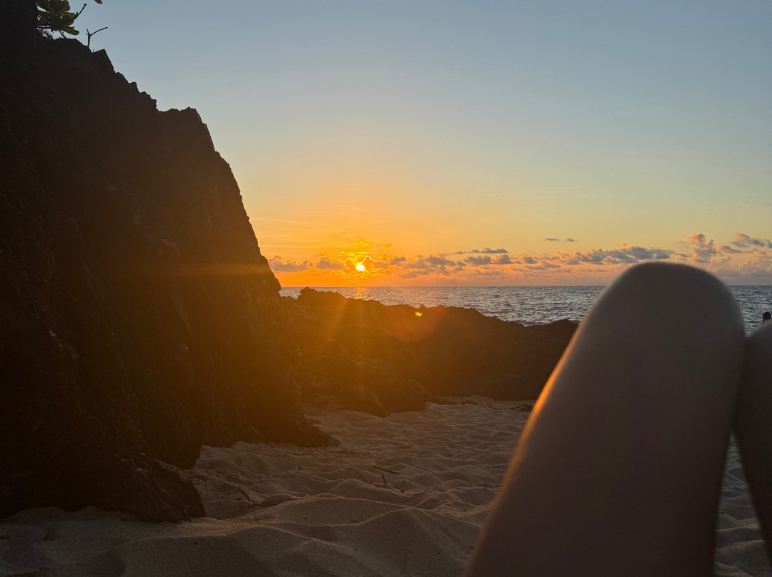 Piranha Divers Okinawa-恩纳村必去景点