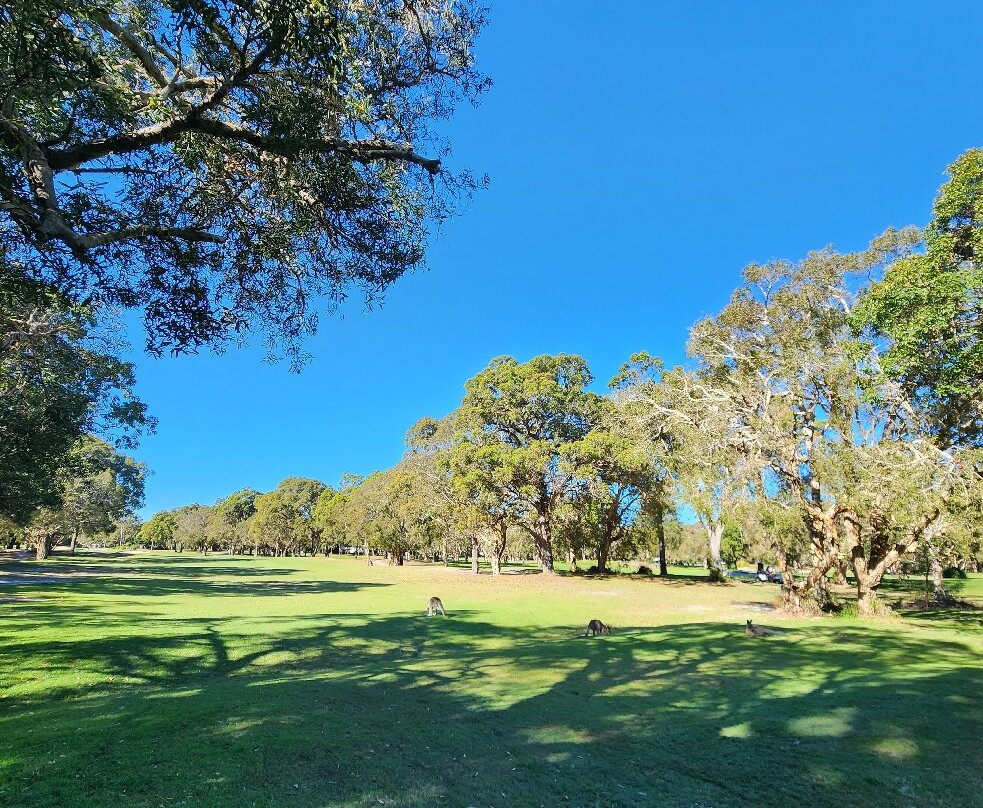 Bribie Island Golf Club-Woorim必去景点