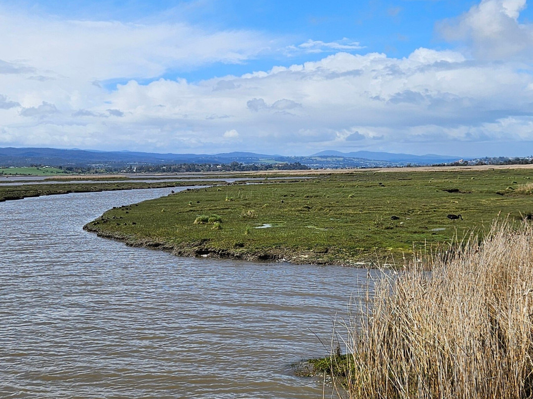 Tamar Island Wetlands-Riverside必去景点