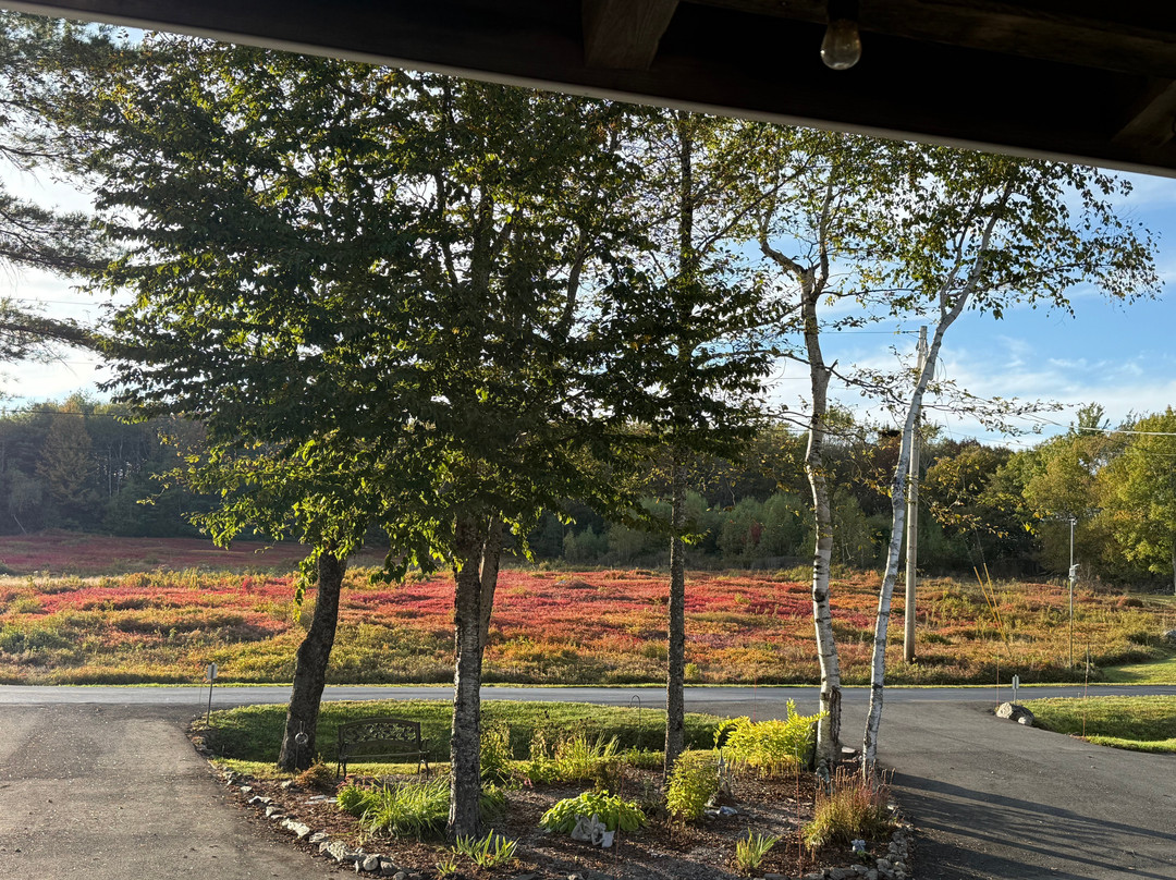 Blueberry Fields Bed & Breakfast主图