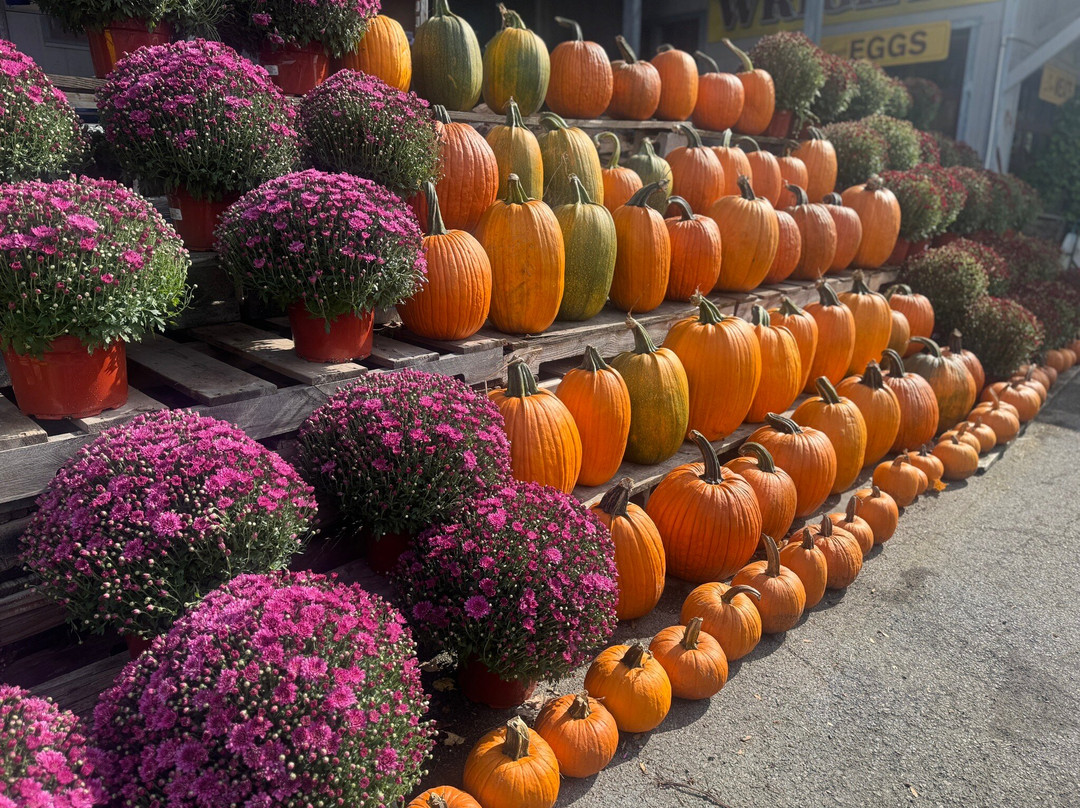 Wright's Farm and Fruit Stand-Gardiner必去景点