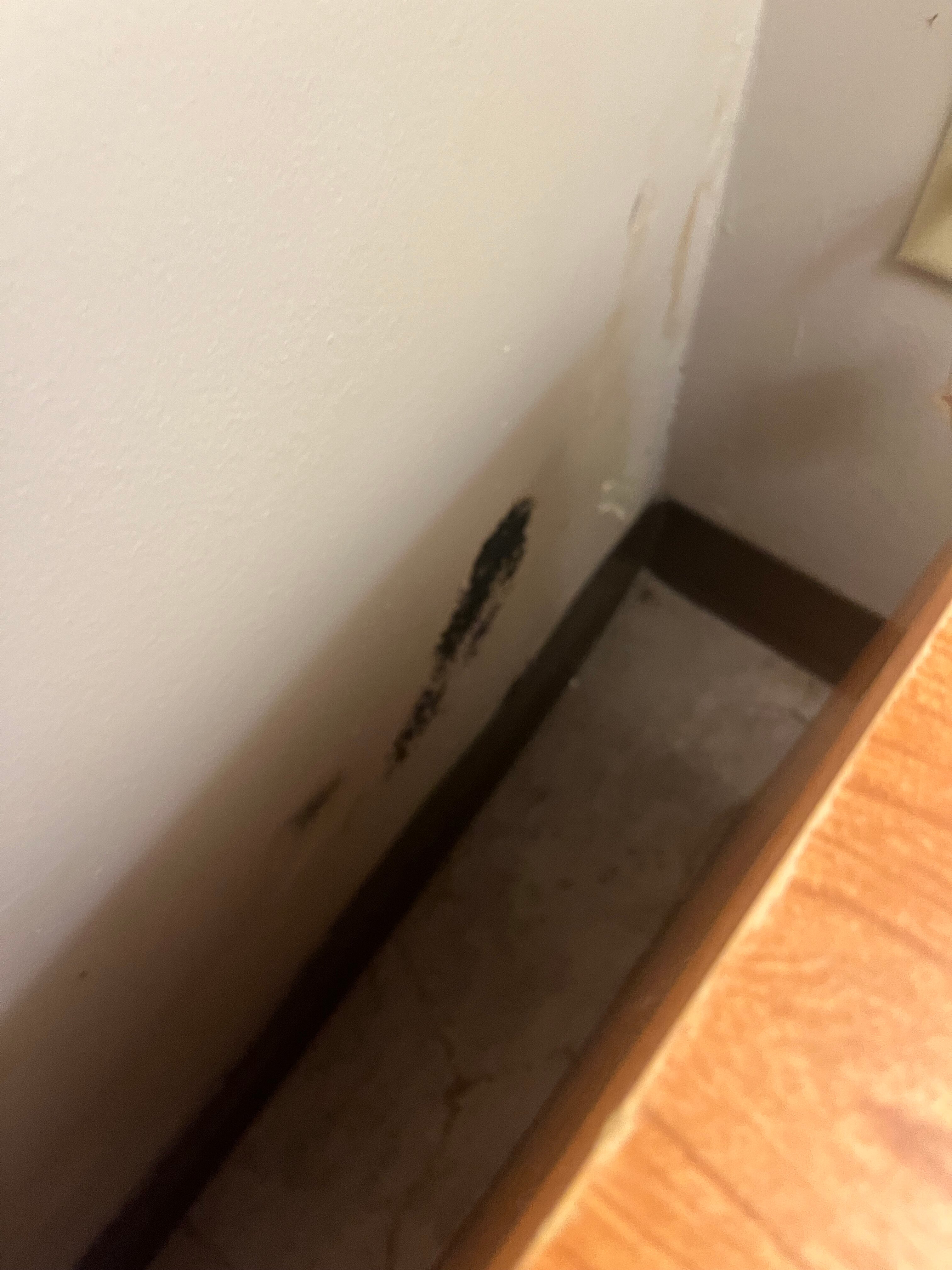 Wingate by Wyndham Coon Rapids-官方