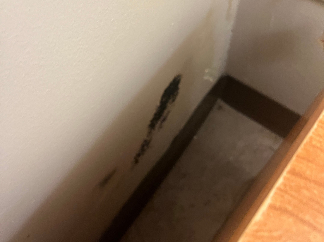 Wingate by Wyndham Coon Rapids主图