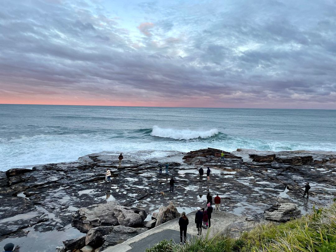 麦奇洛公园-Freshwater必去景点