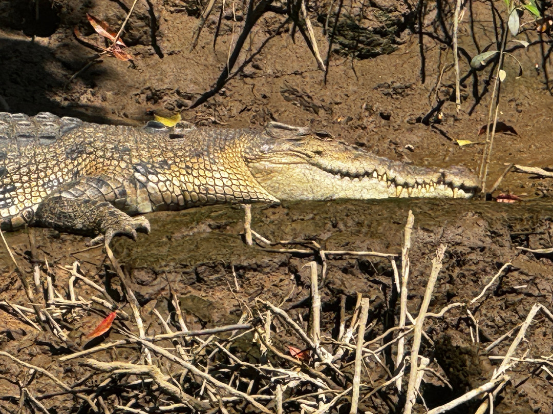 North West Outback Safaris-凯恩斯必去景点