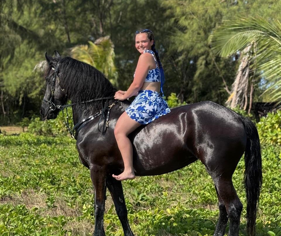Royal Stable Zanzibar-米查维必去景点