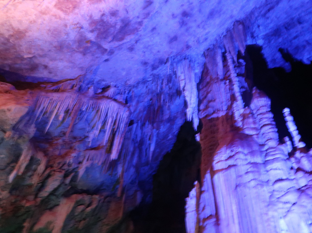 Chania Diving Center-干尼亚必去景点